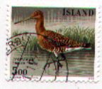 Iceland 665