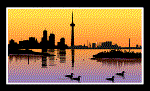 Click here to go to the City of Toronto's website